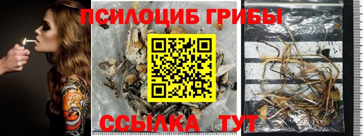 Феодосия  Псилоцибиновые грибы Cubensis  что такое наркотик  Вход с VPN 